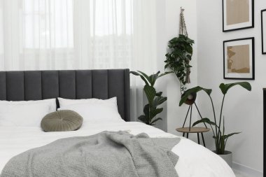 Büyük, rahat bir yatak ve güzel bitkiler. Yatak odasının içi.