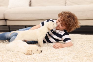 Evdeki bej halıda sevimli köpek yavruları olan küçük çocuk.