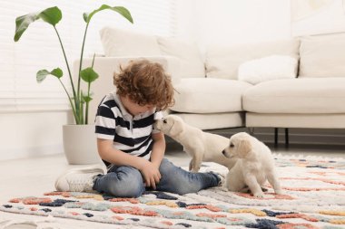 Evdeki halıda sevimli köpekleri olan küçük bir çocuk.