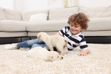 Evdeki bej halıda sevimli köpek yavruları olan küçük çocuk.
