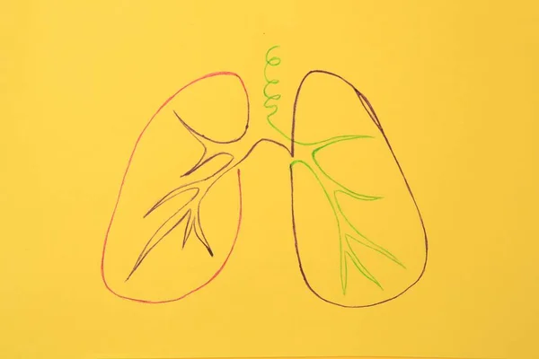Human Lungs Drawn Different Colors Yellow Background Top View Influence — Stock Photo, Image