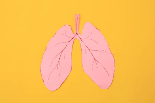 Wycinanka Papieru Ludzkich Płuc Pomarańczowym Tle Widok Góry — Zdjęcie stockowe