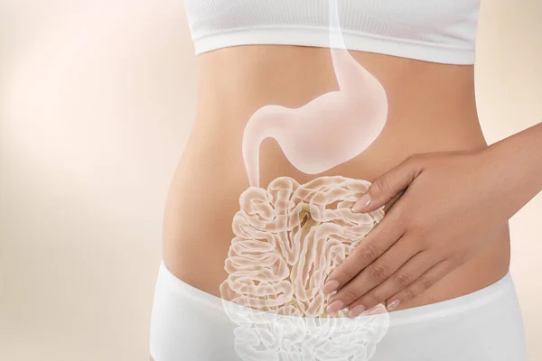 Hafif arka planda sağlıklı sindirim sistemi olan bir kadın, yakın plan. Gastrointestinal sistemin bir yansıması.