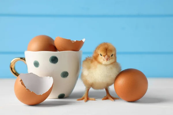 Cute chick with cup, eggs and pieces of shell on white wooden table, closeup. Baby animal