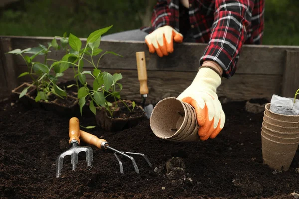 Woman with containers outdoors, closeup. Transplanting seedlings in soil