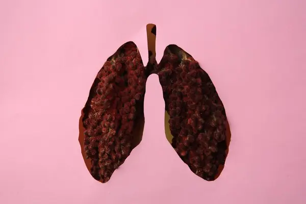 Widok Sumaku Przez Różowy Papier Otworem Kształcie Płuc Człowieka — Zdjęcie stockowe