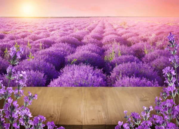 Wooden Deck Blooming Lavender Field Sunset Space Text — Stock Photo, Image