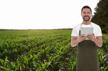 Tarlada tablet bilgisayarı olan çiftçi. Hasat mevsimi