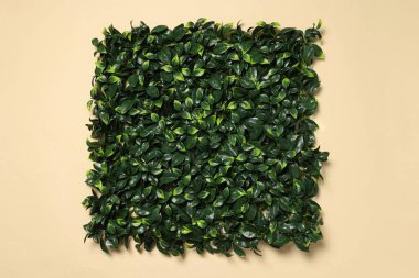 Bej arka planda yeşil yapay bitkiler, üst görünüm