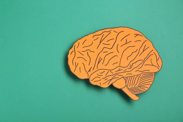 Αποκοπή Χαρτιού Από Ανθρώπινο Εγκέφαλο Τυρκουάζ Φόντο Πάνω Όψη Χώρος — Φωτογραφία Αρχείου