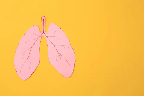 Paper Cutout Human Lungs Orange Background Top View Space Text — Stock Photo, Image