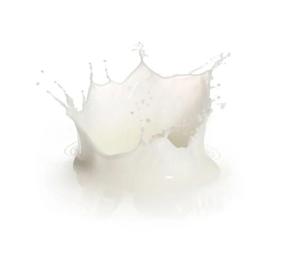 Splash Leite Fresco Sobre Fundo Branco — Fotografia de Stock
