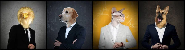 Geschäftsleute Mit Gesichtern Verschiedener Tiere Auf Farbigem Hintergrund Reihe Von — Stockfoto