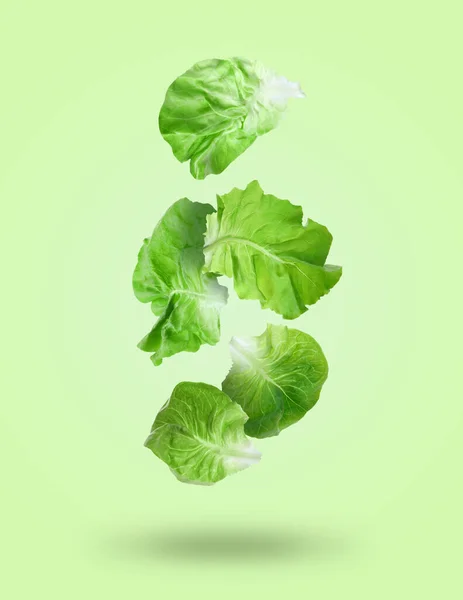 Leaves of butter lettuce falling on pale green background