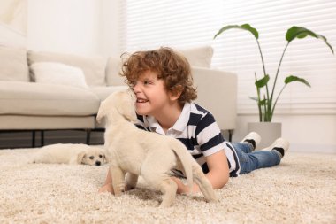 Evdeki bej halıda sevimli köpek yavruları olan küçük çocuk.