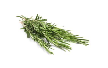 Beyaza izole edilmiş taze biberiye tohumu