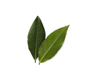 Aromatik taze körfez yaprakları beyaz, üst görünümde izole