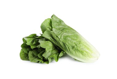 Taze yeşil romaine marulları beyaz üzerine izole edilmiş.