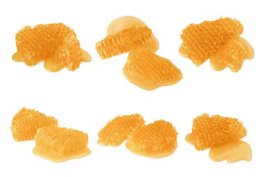 Beyaz üzerine izole edilmiş bal peteği parçaları ile ayarla