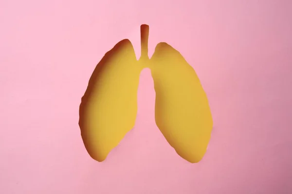 Pink Paper Hole Shape Human Lungs Top View — Stock Photo, Image