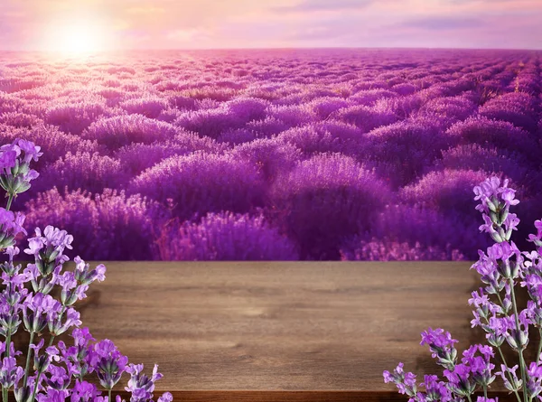 Holzdeck Inmitten Blühender Lavendelfelder Bei Sonnenuntergang Raum Für Text — Stockfoto