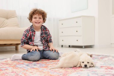 Evdeki halıda sevimli köpekleri olan küçük bir çocuk.