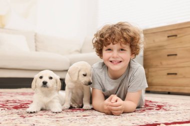 Evdeki halıda sevimli köpekleri olan küçük bir çocuk.