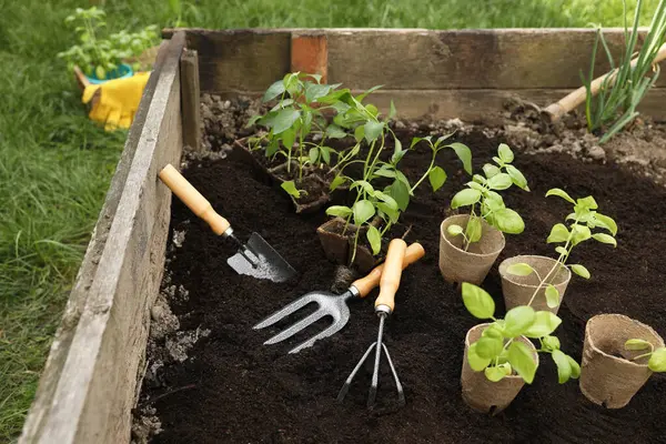 室外地上的容器和园艺工具中的种子 — 图库照片
