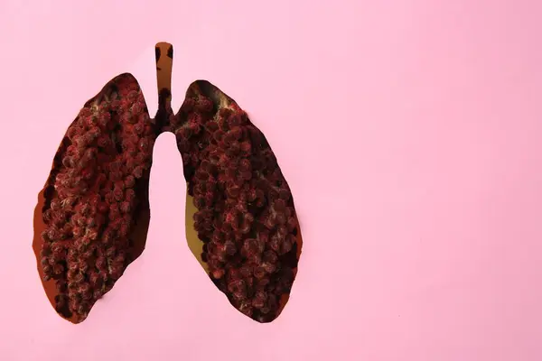 Top View Sumac Pink Paper Human Lungs Shaped Hole Space — Stock Photo, Image