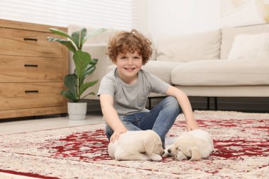 Evdeki halıda sevimli köpekleri olan küçük bir çocuk.