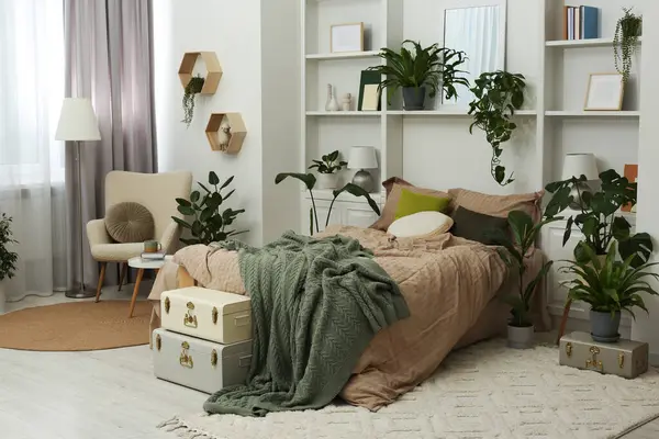 Стильна Спальня Зручним Ліжком Різними Кімнатними Рослинами Дизайн Інтер Єру — стокове фото