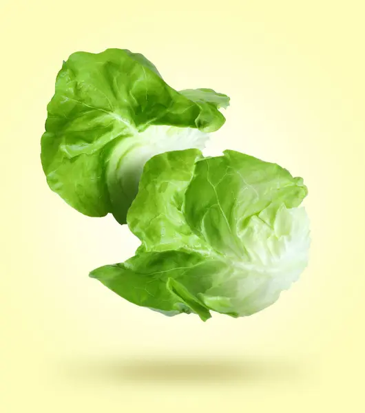 Leaves of butter lettuce falling on pale yellow background