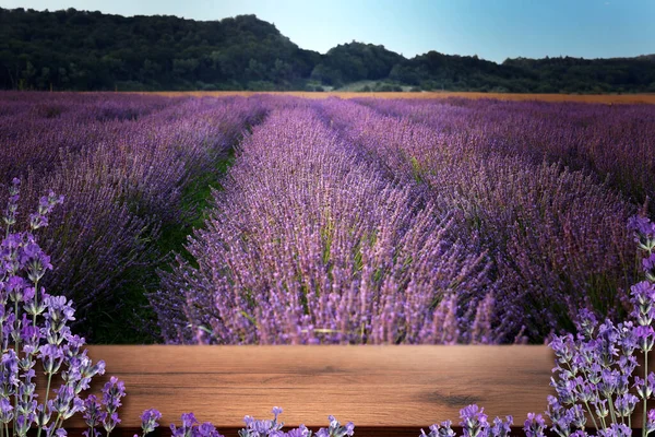 Wooden Deck Blooming Lavender Field Space Text — Stock Photo, Image