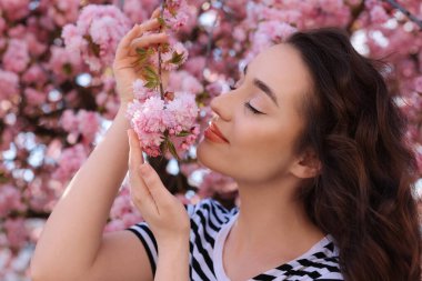 Güzel bir kadın bahar günü çiçek açan sakura ağacını kokluyor.