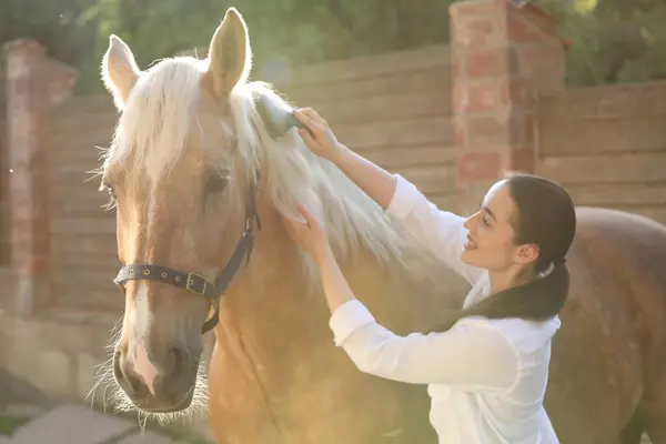 かわいい馬を屋外でブラッシング女性 ペットケア — ストック写真