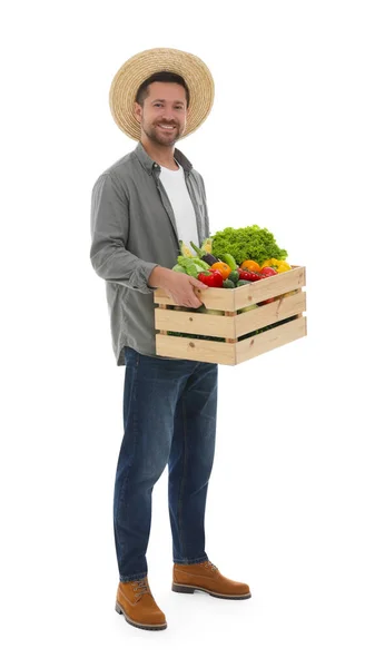 Erntezeit Glücklicher Bauer Mit Holzkiste Mit Gemüse Auf Weißem Hintergrund — Stockfoto