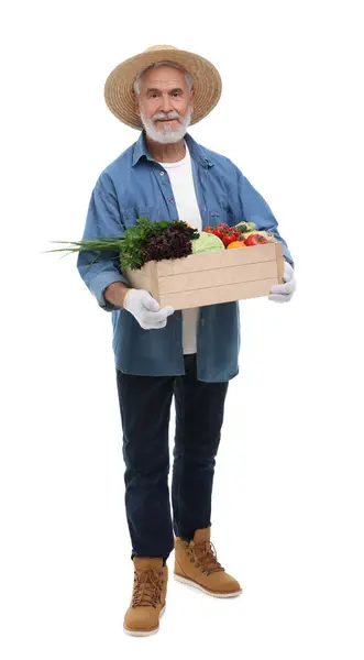 배경에 야채와 상자를 — 스톡 사진