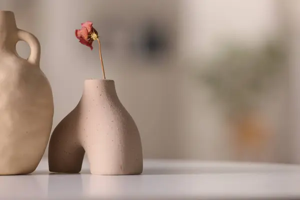 Beyaz Masadaki Kurutulmuş Çiçekli Vazo Metin Için Boşluk — Stok fotoğraf