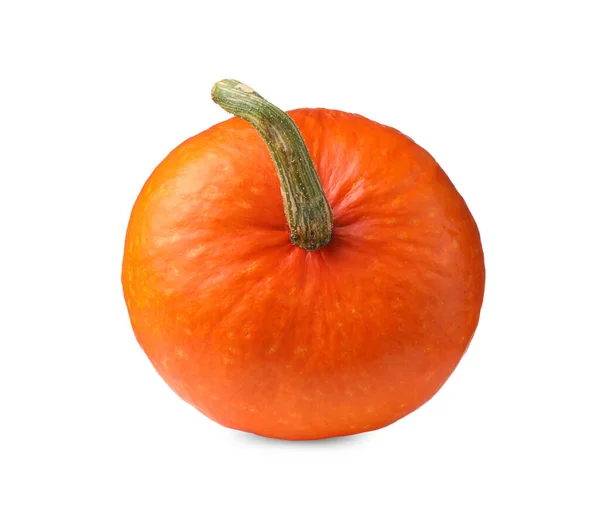 Jedna Świeża Pomarańczowa Dynia Izolowana Białym — Zdjęcie stockowe