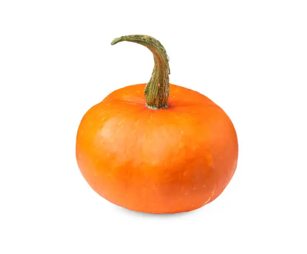 Jedna Świeża Pomarańczowa Dynia Izolowana Białym — Zdjęcie stockowe
