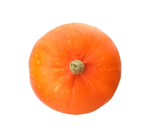 Μια Φρέσκια Κολοκύθα Πορτοκαλιού Που Απομονώνεται Λευκή Κορυφαία Άποψη — Φωτογραφία Αρχείου
