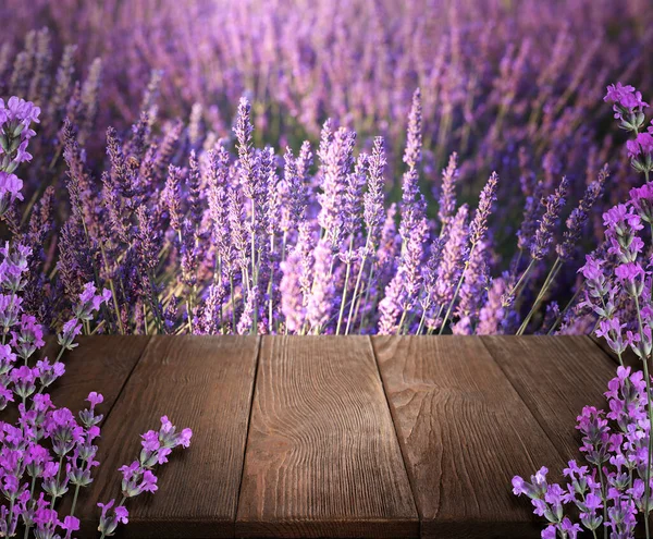 Wooden Deck Blooming Lavender Field Space Text — Stock Photo, Image