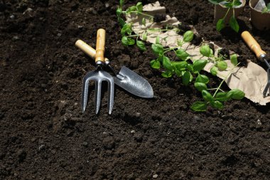 Dışarıda bir sürü fidan ve farklı bahçe aletleri var. Metin için boşluk