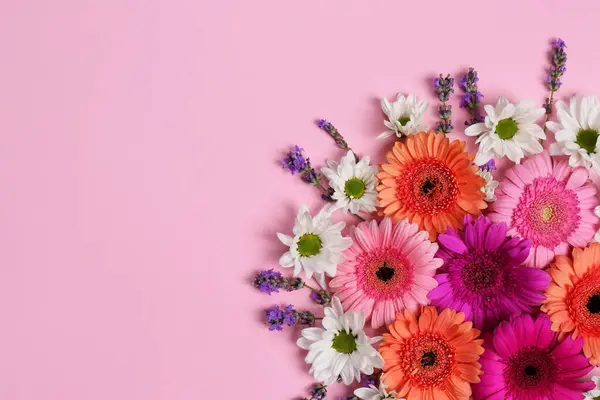 Soluk pembe arkaplan üzerinde farklı güzel çiçeklerle düz kompozisyon, metin için boşluk