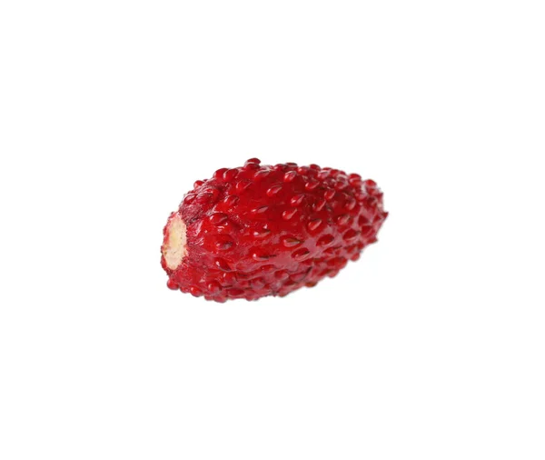 One Ripe Wild Strawberry Isolated White — Stock Photo, Image