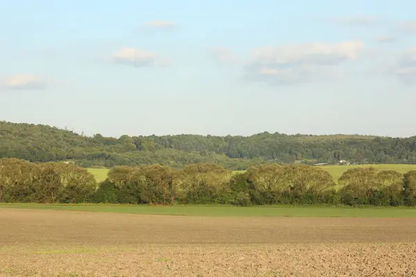 Prachtig Landbouwveld Groen Gras Bomen Buiten — Stockfoto