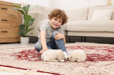 Evdeki halıda sevimli köpekleri olan küçük bir çocuk.