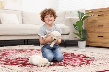 Evdeki halıda sevimli köpekleri olan küçük bir çocuk.
