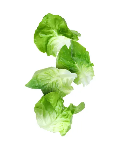 Listy Salátu Másla Padající Bílé Pozadí — Stock fotografie