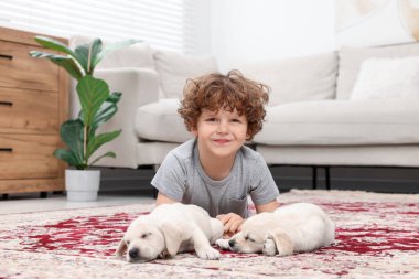 Evdeki halıda sevimli köpekleri olan küçük bir çocuk.